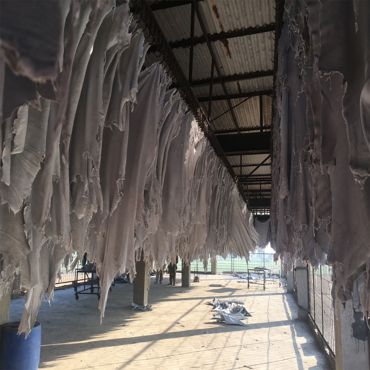 Hang Dry